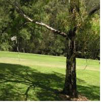 Geoff Heath Golf Course – Geoff Heath Golf Club – South Australia