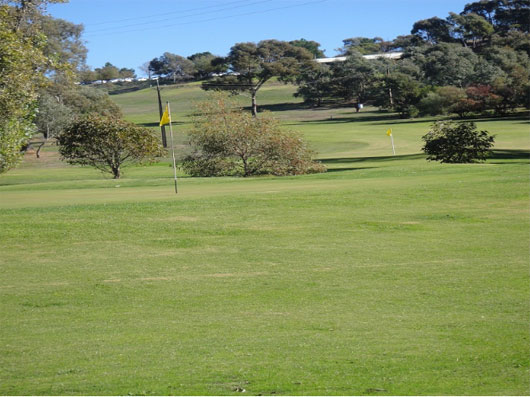 Mt Pleasant & District Golf – Club, Course – Mt Pleasant Golf And Country Club - Mt Pleasant Golf  - Club, Course - SA