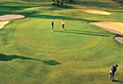 Berri Golf And Country Club – Berri Golf Club – Accommodation, Adelaide, SA, AU - Berri Golf Course – Motel – South Australia