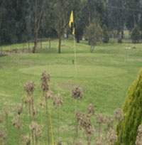 Berwick Par 3 Pitch’n’Putt Course – Berwick Golf – Course Map, Club, Park – VIC Australia