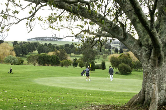 Coolangatta Estate – Restaurant, Reviews, Wedding, Cottages – Coolangatta Golf Club, Course – NSW, Australia