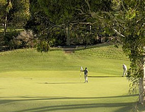 Cypress Lakes Country Club – Cypress Lakes Golf Course – Cypress Lakes Golf Club NSW – Australia