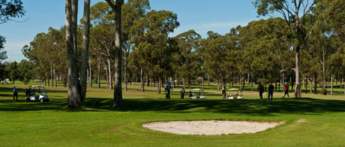 Fairfield Golf Club – NSW, Australia – Fairfield Golf – Center, Course – Fairfield Golf And Country Club