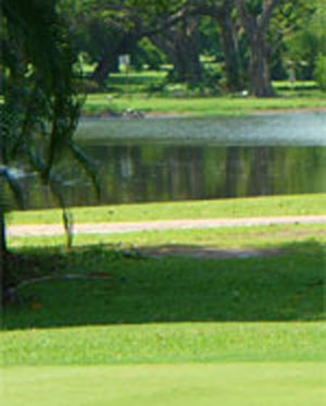 Gardens Park Golf - Links, Club - Gardens Golf – Links, Darwin - Gardens Golf Course Darwin - Gardens Golf Club Darwin - Australia 