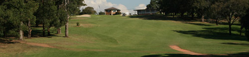 New Brighton Golf Club – Sydney, Restaurant, Review, Development, Map, NSW, Australia  – Brighton Golf – Course, Academy