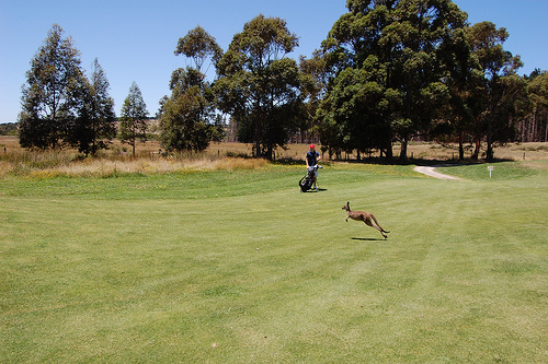 Fleurieu Golf Course – Reviews, South Australia, SA – Fleurieu Golf Club – South Australia, SA