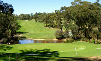 Mangrove Mountain Memorial Club – Golf Course - Mangrove Golf – Course, Club – NSW, Australia