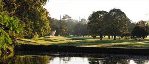 Nowra Golf Club – NSW, Pro Shop, Weddings, Australia – Nowra Golf – Course, Resort, Driving Range – NSW 