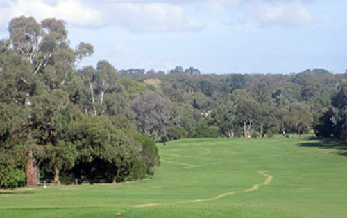 Ringwood Golf Course – Map, Pro Shop, Green Fees, Layout, Lessons, Melbourne – Ringwood Golf Driving Range, Club - VIC – Australia